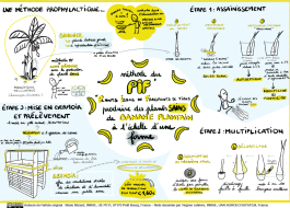 Sketchnote PIF